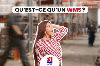 WMS : Qu’est-ce qu’un WMS ? - Emploi